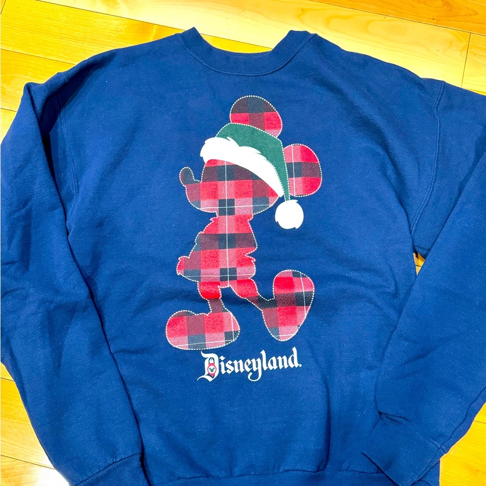 I believe this is a men’s small Christmas Disneyland used sweatshirt